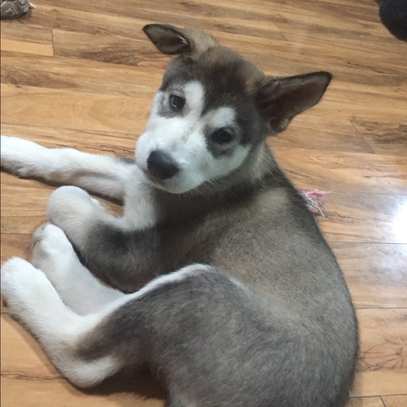 LIKE TO BOOKMARK CLOSET ⛓ don’t forget 2 make offr - Picture 3 of 3